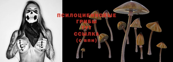 гидра Белокуриха