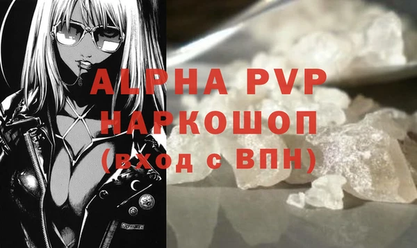 гидра Белокуриха