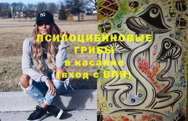 первитин Богданович