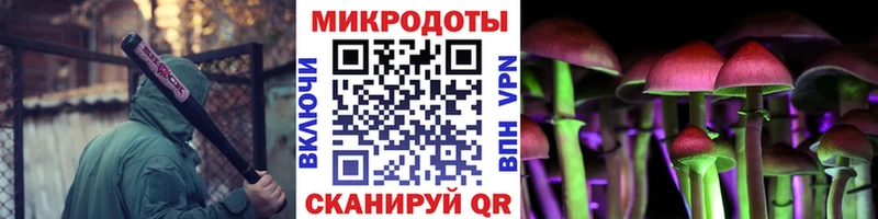 Галлюциногенные грибы мухоморы  как найти наркотики  Медногорск 