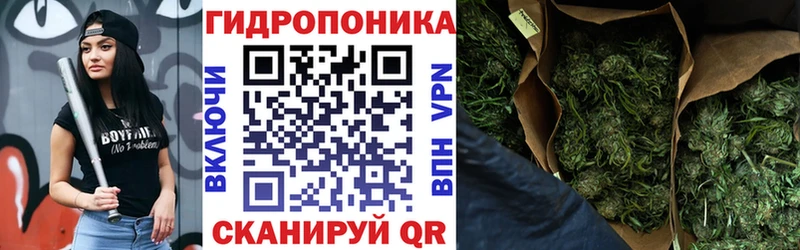 Марихуана план  ОМГ ОМГ ТОР  Медногорск 